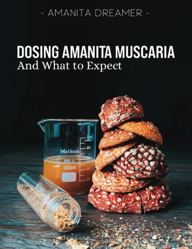 Dosing Amanita Muscaria And What To Expect