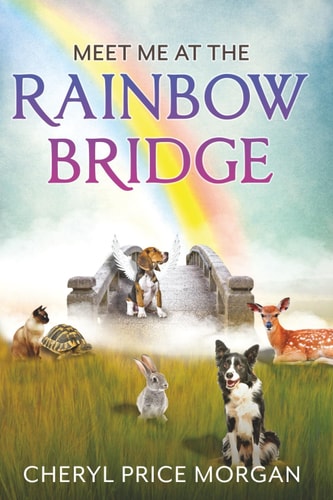 Meet Me at the Rainbow Bridge