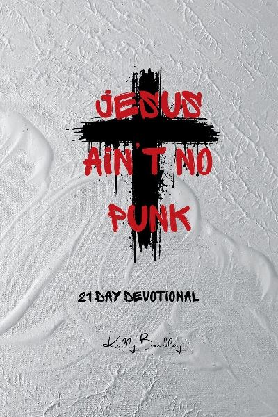 Jesus Aint No Punk