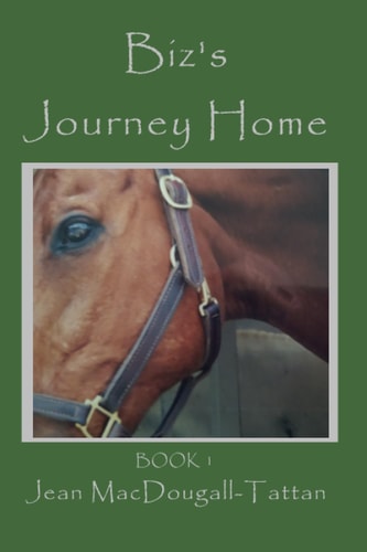 Biz's Journey Home