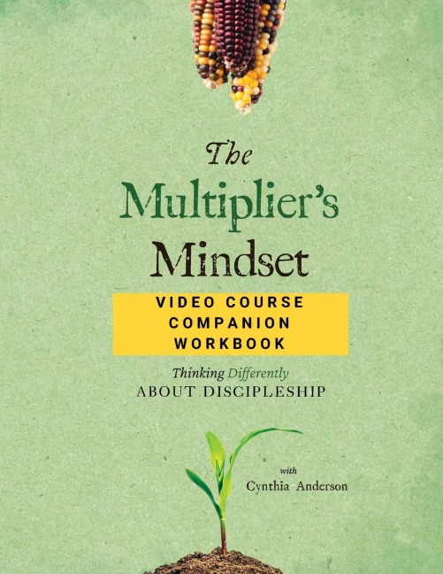 The Multipliers Mindset Video Course Companion Workbook