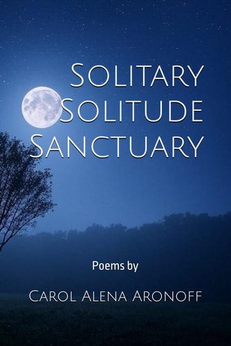 Solitary Solitude Sanctuary