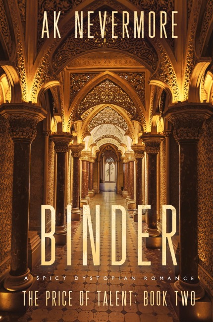 Binder: A Spicy Dystopian Romance