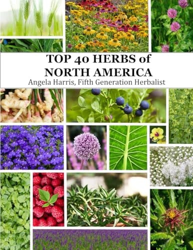 The Top 40 Herbs of North America Natural Remedies from Mexico, the United States, and Canada.
