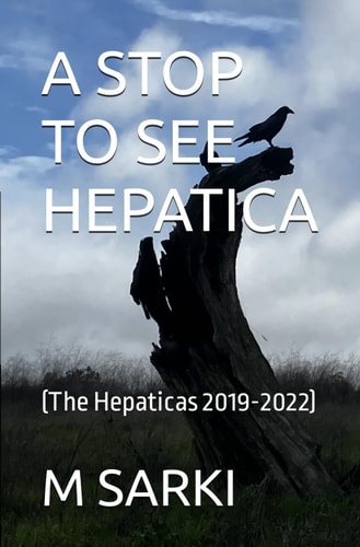A Stop to See Hepatica (The Hepaticas 2019-2022)