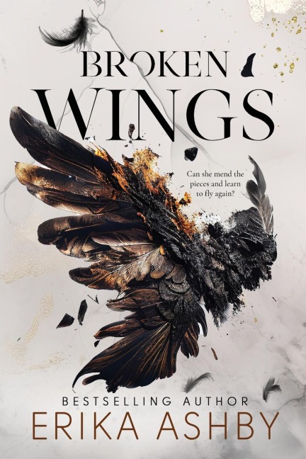 Broken Wings: A Military Romance