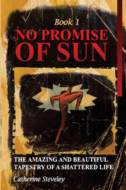 No Promise of Sun, Book 1: The Amazing and Beautiful Tapestry of a Shattered Life