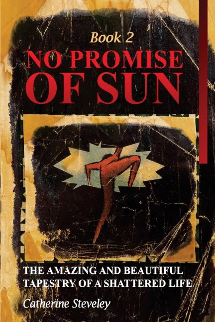 No Promise of Sun, Book 2: The Amazing and Beautiful Tapestry of a Shattered Life