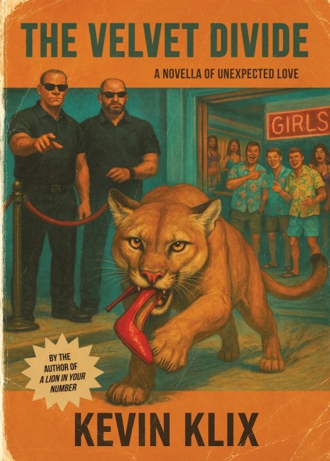 The Velvet Divide: A Novella of Unexpected Love