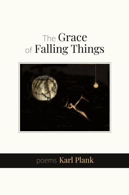 The Grace of Falling Things: poems