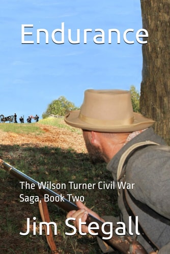 Endurance The Wilson Turner Civil War Saga