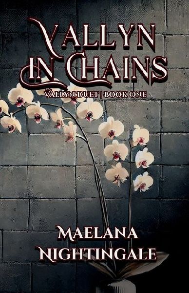 Vallyn in Chains: Vallyn Duet Book One