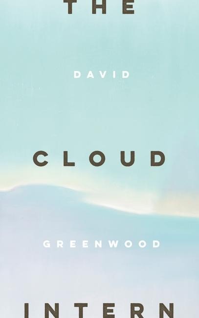 The Cloud Intern