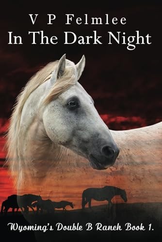 In The Dark Night