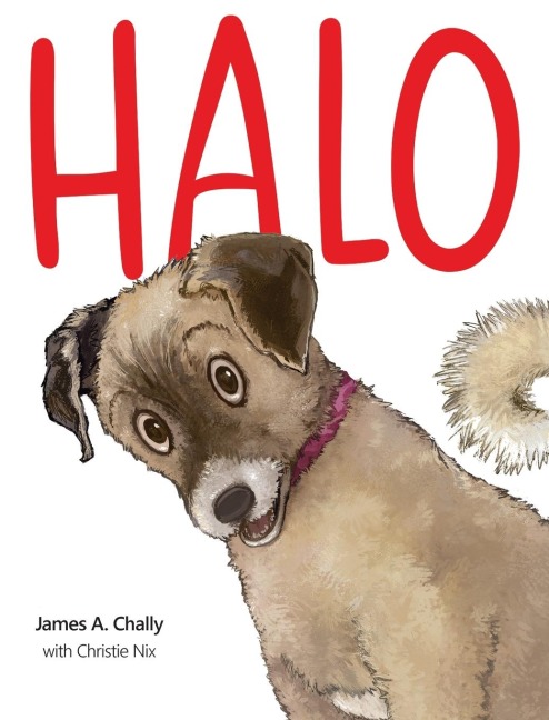 Halo Finds a Home