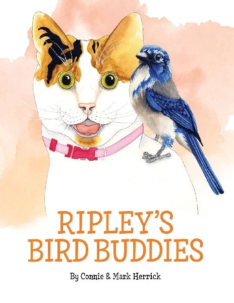 Ripleys Bird Buddies