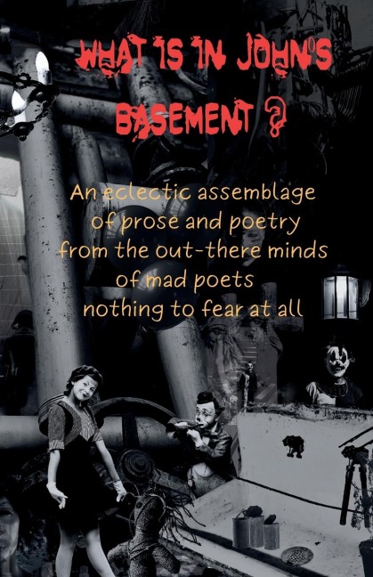 What is in Johns Basement?: An eclectic assemblage of poems from the out-there minds of mad poets -nothing to fear at all