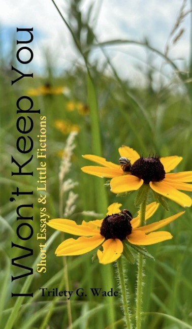 I Won't Keep You: Short Essays & Little Fictions
