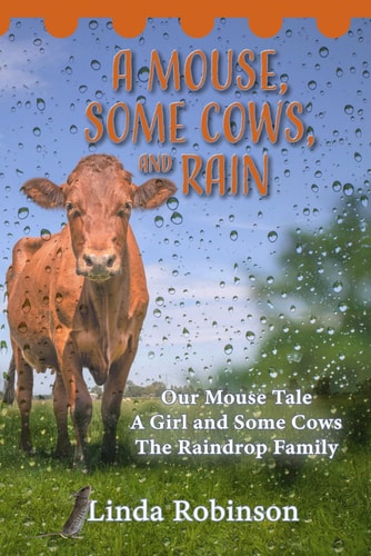 A Mouse, Some Cows, and Rain: Our Mouse Tale - A Girl and Some Cows - The Raindrop Family