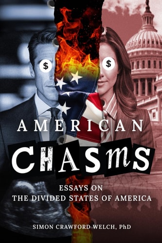 American Chasms Essays on The Divided States of America