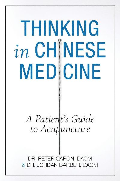 Thinking In Chinese Medicine: A Patients Guide to Acupuncture