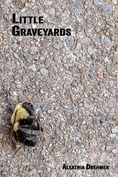 Little Graveyards