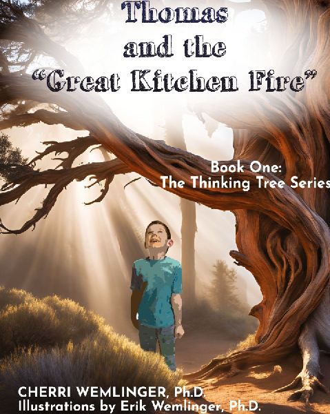 Thomas and the Great Kitchen Fire