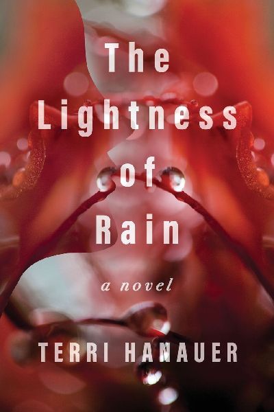 The Lightness of Rain: a novel