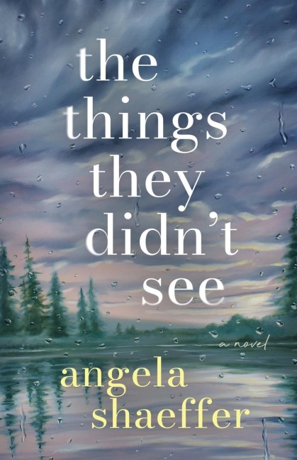 The Things They Didn't See: A Novel