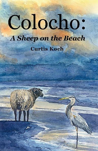 Colocho: A Sheep on the Beach
