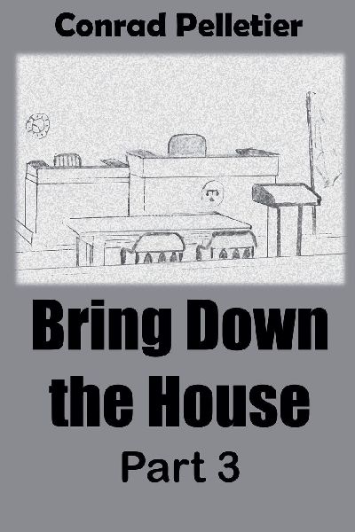 Bring Down The House Part 3