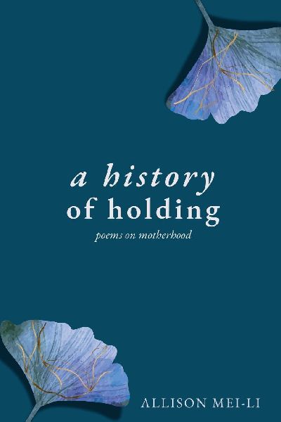 A History of Holding: Poems on Motherhood