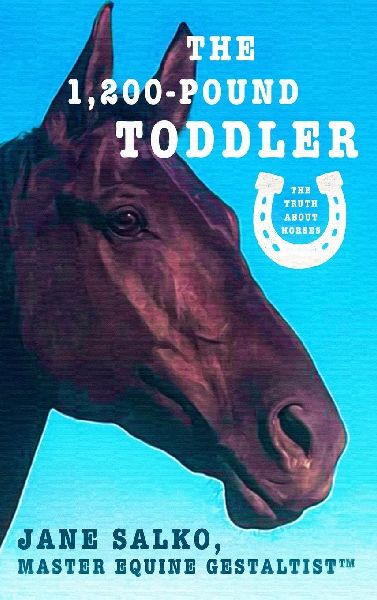 The 1,200 Pound Toddler: Lessons From Lifes Most Authentic Teachers