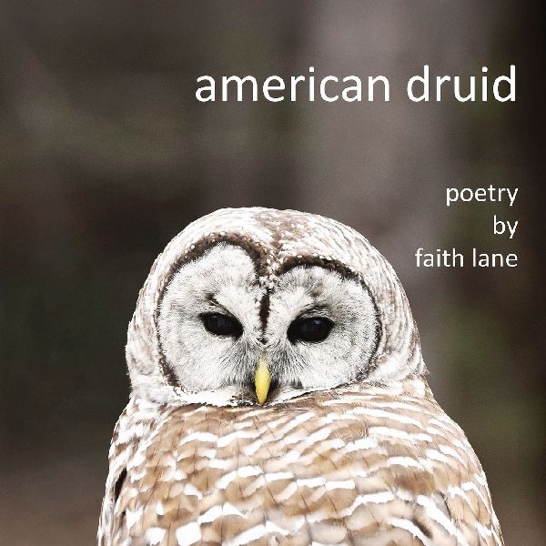 american druid: poetry