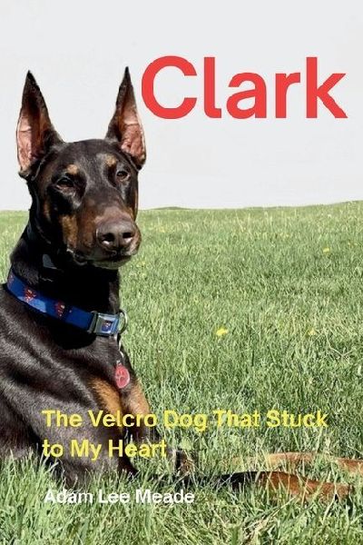 Clark: The Velcro Dog That Stuck to My Heart