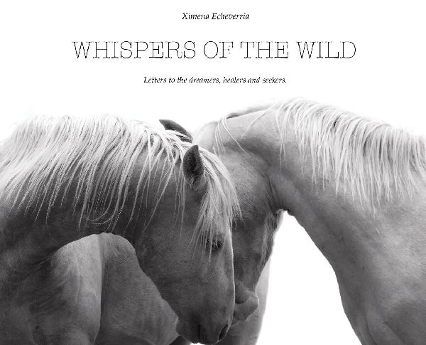 Whispers of the Wild: Letters to the Dreamers, Healers, and Seekers