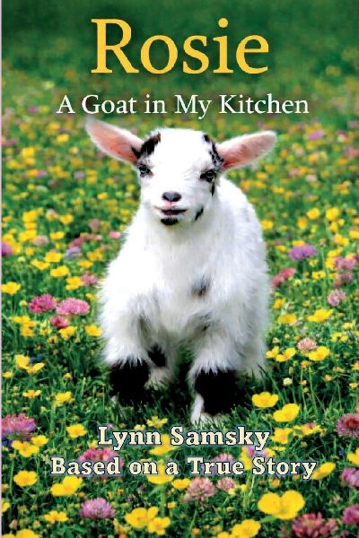 Rosie A Goat in My Kitchen