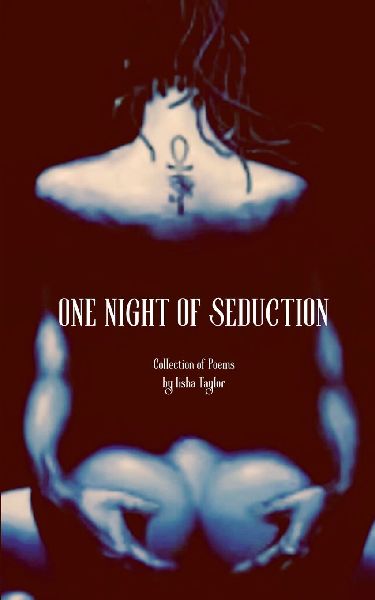 One Night of Seduction