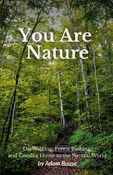 You Are Nature: On Walking, Forest Bathing, and Coming Home to the Natural World