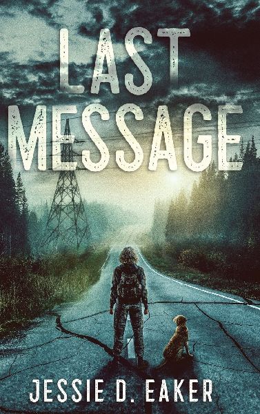 Last Message: A Post-Apocalyptic Survival Romance