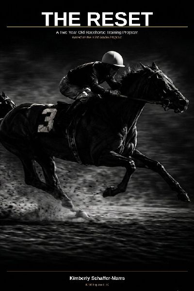 The Reset A two year old racehorse training program