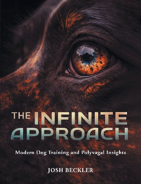 The Infinite Approach Modern Dog Training and Polyvagal Insights