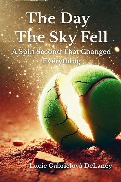 The Day The Sky Fell: A Split Second That Changed Everything