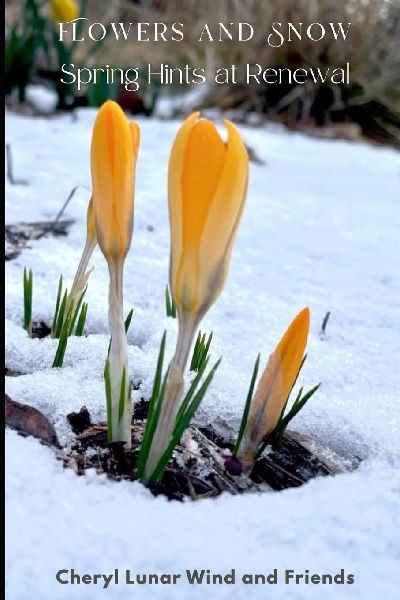 Flowers and Snow: Spring Hints at Renewal
