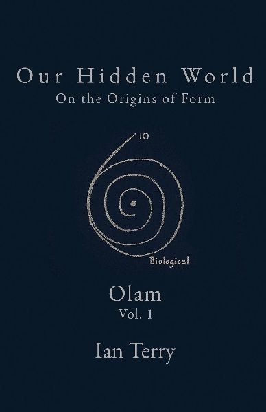 Our Hidden World: On the Origins of Form