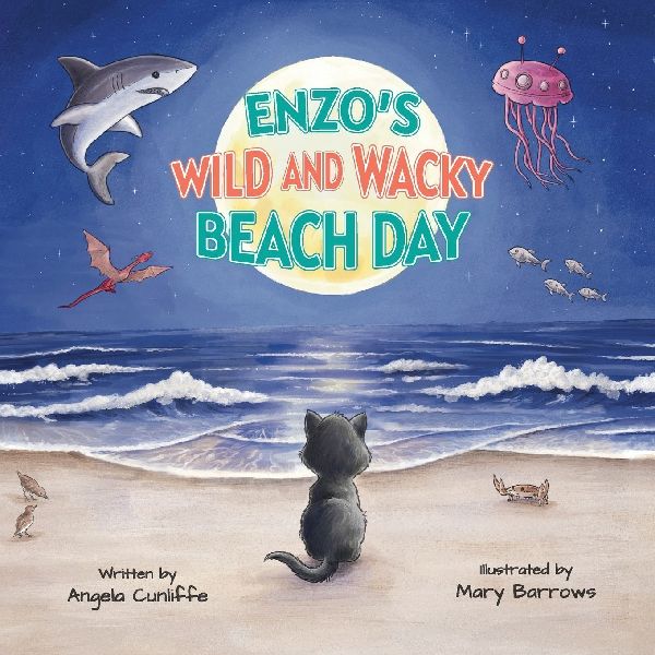Enzos Wild and Wacky Beach Day