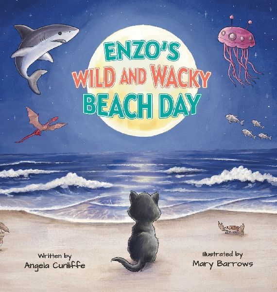 Enzos Wild and Wacky Beach Day