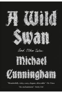A Wild Swan: And Other Tales