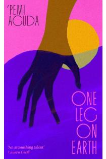 One Leg on Earth: The stunning (Abi Dare) 2026 debut novel from the National Book Award finalist