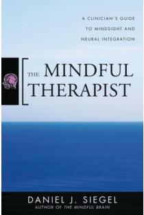 The Mindful Therapist: A Clinicians Guide to Mindsight and Neural Integration